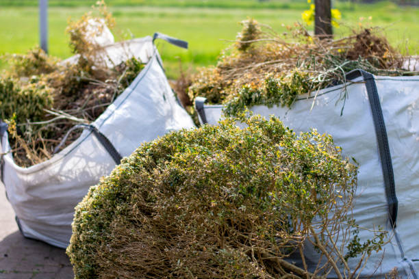 Best Electronics Removal Services  in Bartonvle, IL